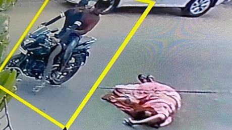 तेज रफ्तार पर आ रही बाइक ने महिला को मारी टक्कर, CCTV फुटेज में कैद घटना